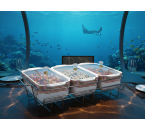 Vicenza Wadah Saji Serena B916 Magnolia